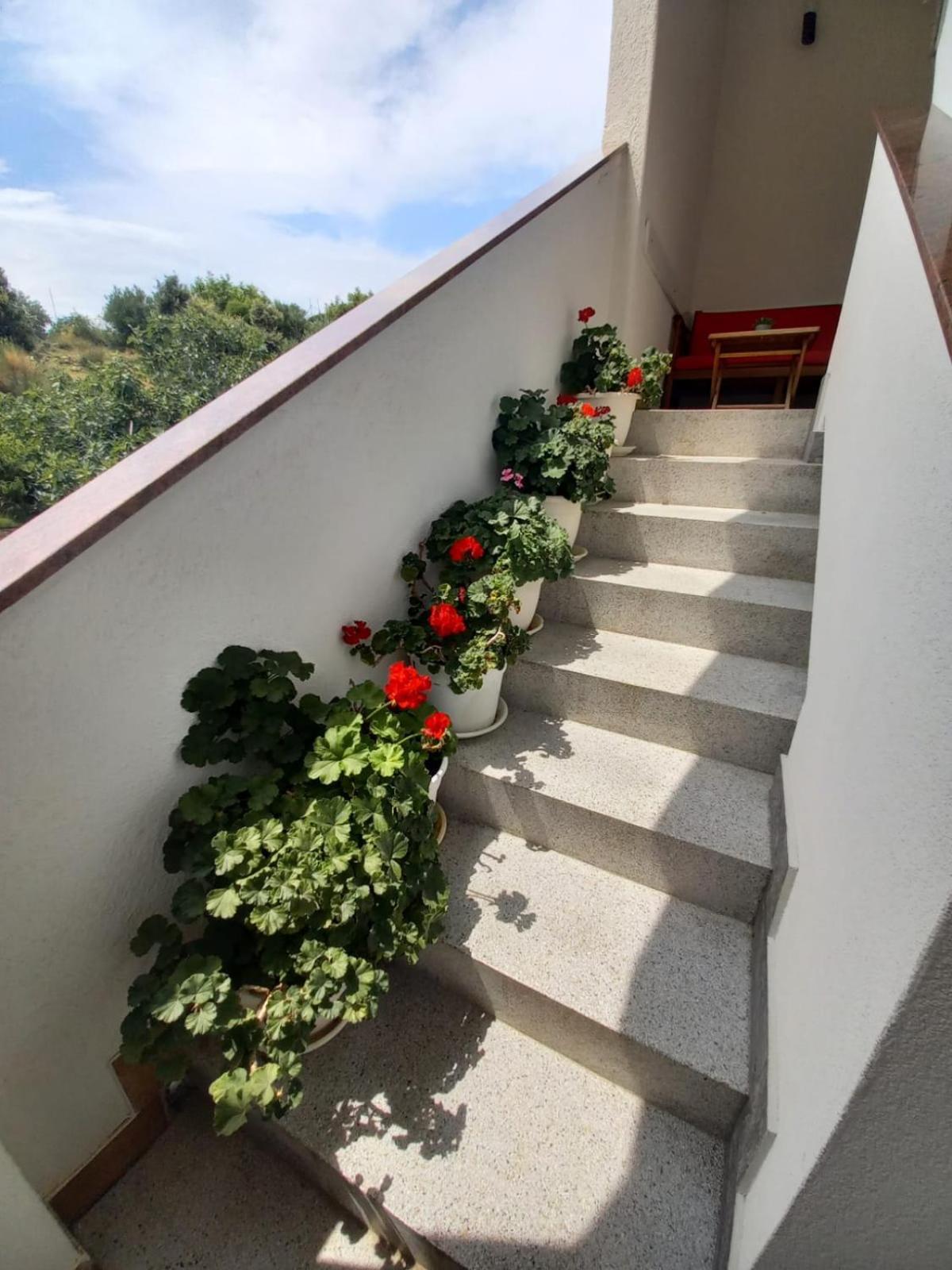 Apartments Vinse Near Rab Center Rab Town Exterior foto
